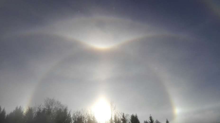 Sonnenhalo über Baumwipfeln